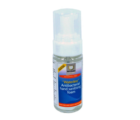 Antibacterial Foam Sanitiser- No Alcohol (500ml)